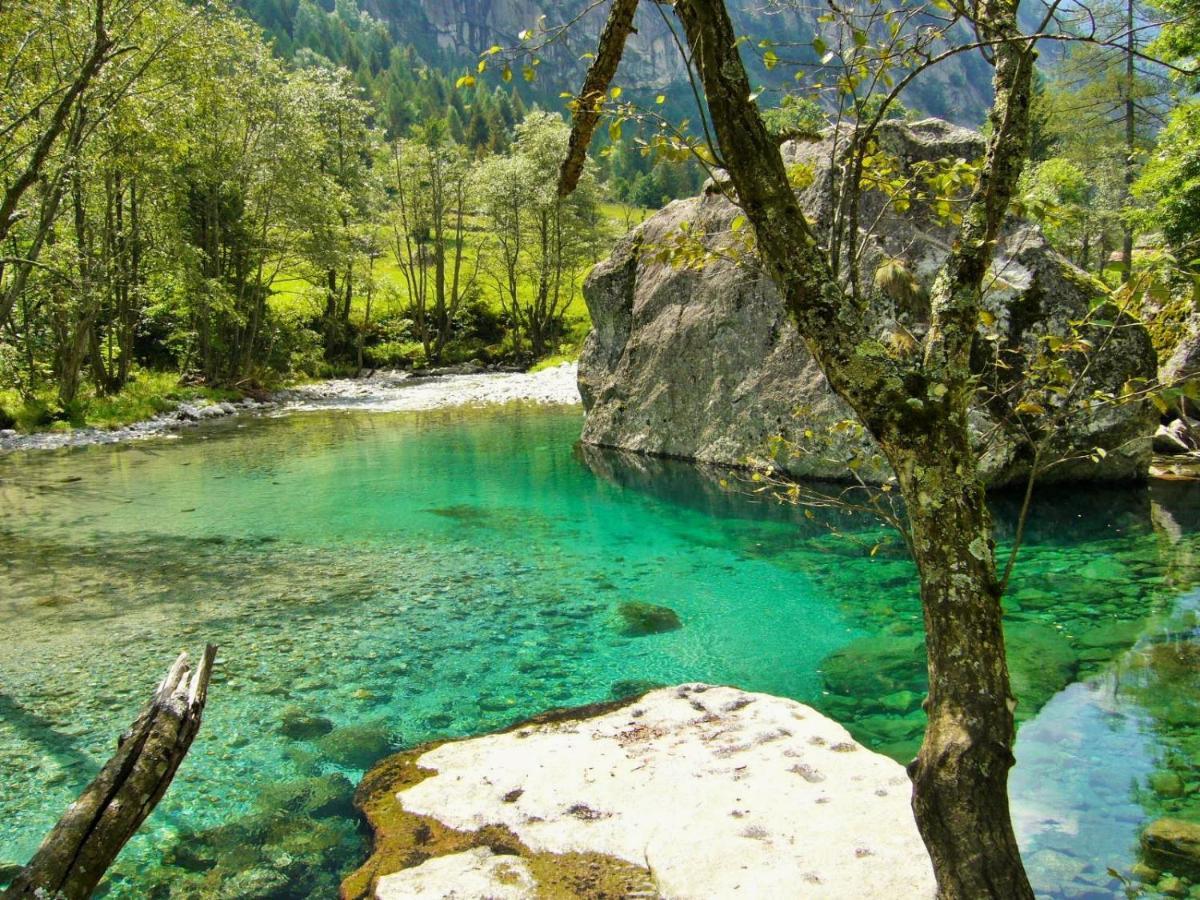 Appartamento Il Nido Tra Verde E Natura Berbenno di Valtellina Exterior photo